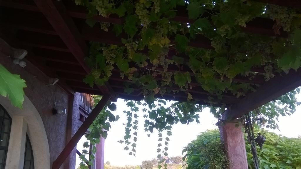 Bed And Breakfast Posserle Padenghe sul Garda Ngoại thất bức ảnh